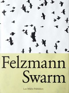 Lukas Felzmann: Swarm