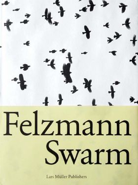 Lukas Felzmann: Swarm