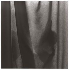 Lynn Stern: Frozen Mystery