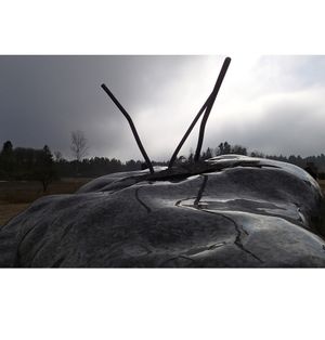 Makoto Fujiwara: Stone and Makoto