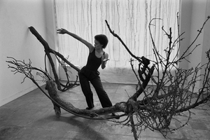 Maren Hassinger: Living Moving Growing