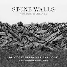 Mariana Cook: Stone Walls