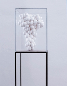 Mariana Vassileva: Fragile Power