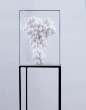 Mariana Vassileva: Fragile Power