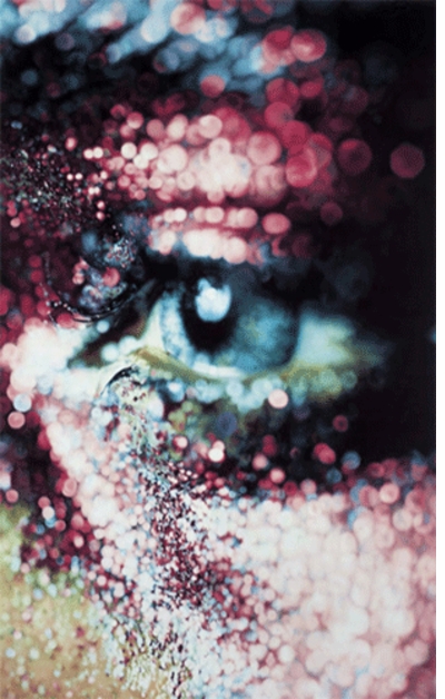 Marilyn Minter: Pretty/Dirty
