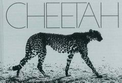 Mark Segal: Cheetah
