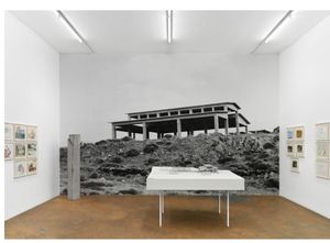 Martin Kippenberger: MOMAS Projekt