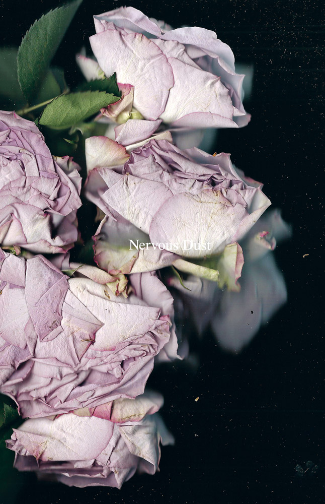 martin-maeller-nervous-dust-artbook-d-a-p