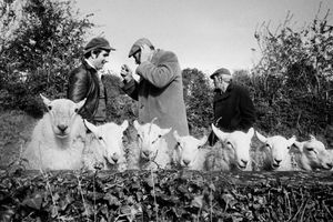 Martin Parr: From the Pope to a Flat White, Ireland 19792019