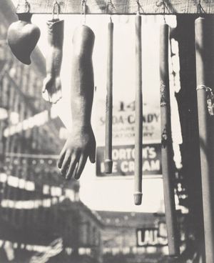 Masterworks of Modern Photography 19001940