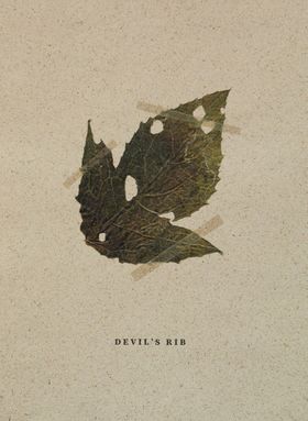 Mateusz Kowalik: Devils Rib