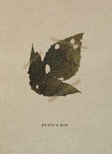 Mateusz Kowalik: Devils Rib