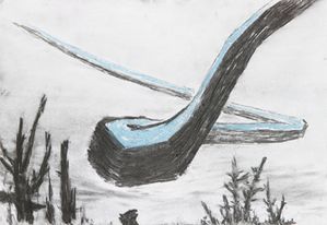 Matias Duville: Alaska