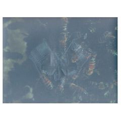 Matthew Barney: Cremaster 2