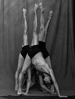 Matthew Brookes: Les Danseurs