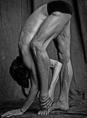 Matthew Brookes: Les Danseurs