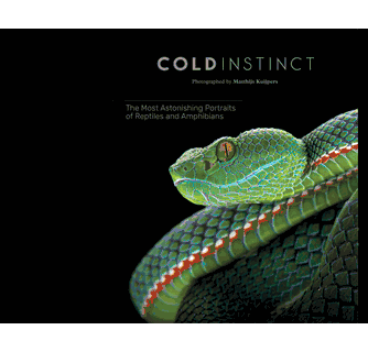 Matthijs Kuijpers Cold Instinct ARTBOOK | D.A.P. 2020 Catalog 