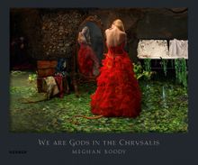 Meghan Boody: We Are Gods in the Chrysalis