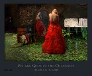 Meghan Boody: We Are Gods in the Chrysalis
