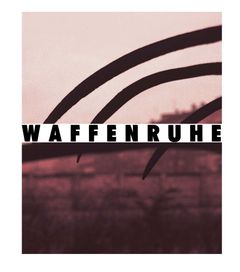 Michael Schmidt: Waffenruhe