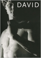 Michelangelo's David: From Symbol to Myth