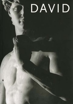 Michelangelo's David: From Symbol to Myth