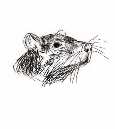 Mike Mills Drawings from the Film Beginners