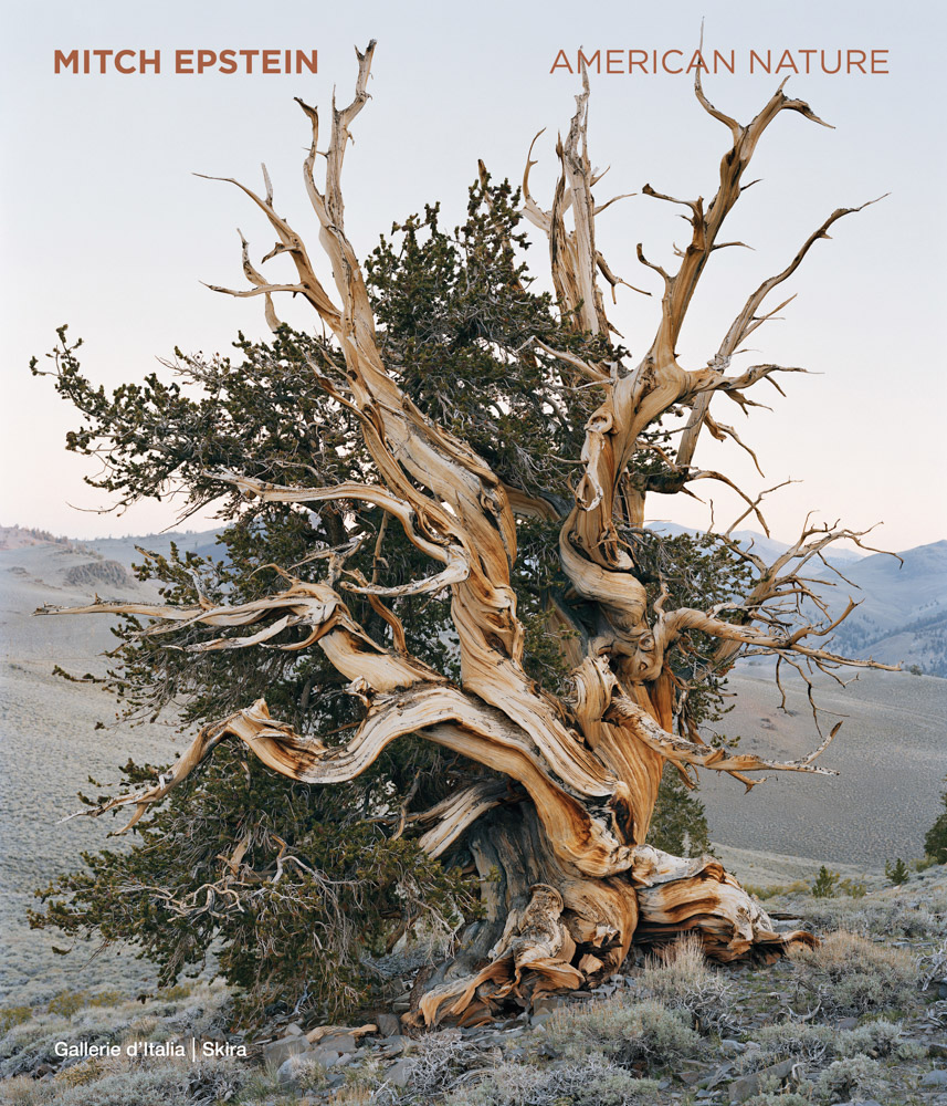 Mitch Epstein American Nature ARTBOOK | D.A.P. 2025 Catalog