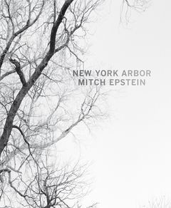 Mitch Epstein: New York Arbor