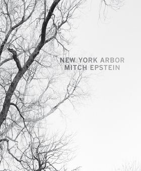 Mitch Epstein: New York Arbor