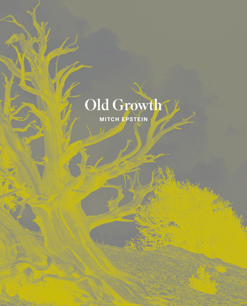 Mitch Epstein Old Growth ARTBOOK | D.A.P. 2026 Catalog Books