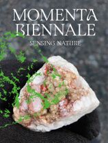 Momenta Biennale de limage