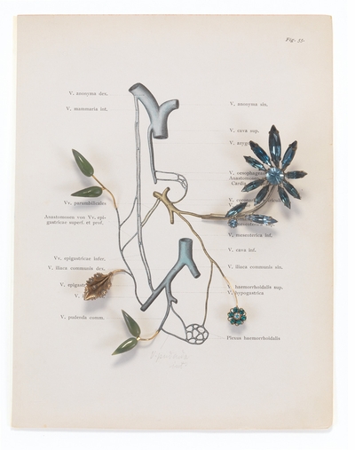Monograph as memoir in Eric Rhein's poetic 'Lifelines'