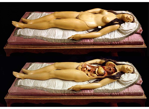 Morbid Valentine: 'The Anatomical Venus: Wax, God, Death & the Ecstatic'