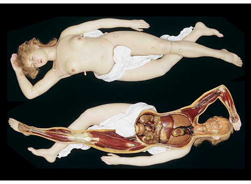 Morbid Valentine: 'The Anatomical Venus: Wax, God, Death & the Ecstatic'