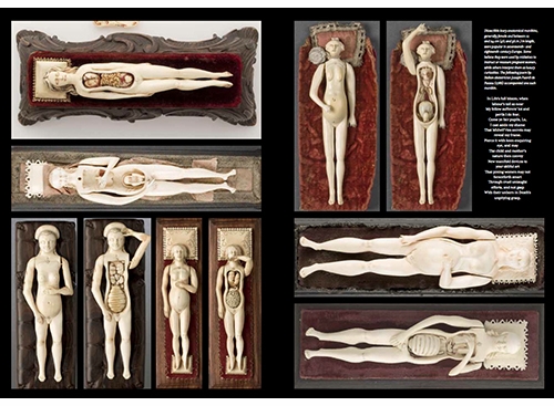 Morbid Valentine: 'The Anatomical Venus: Wax, God, Death & the Ecstatic'