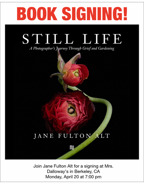 Mrs. Dalloway's Bookstore presents Jane Fulton Alt, Susan Page Tillett and James Baraz on 'Still Life'