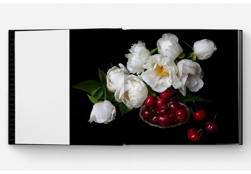 Mrs. Dalloway's Bookstore presents Jane Fulton Alt, Susan Page Tillett and James Baraz on 'Still Life'