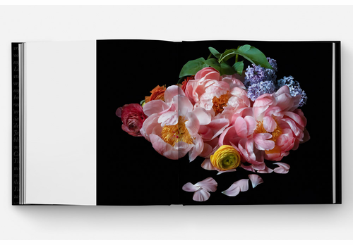 Mrs. Dalloway's Bookstore presents Jane Fulton Alt, Susan Page Tillett and James Baraz on 'Still Life'