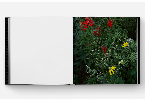 Mrs. Dalloway's Bookstore presents Jane Fulton Alt, Susan Page Tillett and James Baraz on 'Still Life'