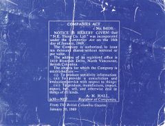 N.E. Thing Co.: Companies Act (Volume 1)