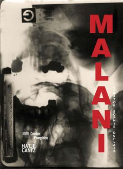 Nalini Malani: Malani