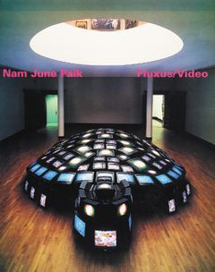 Nam June Paik: Fluxus/Video