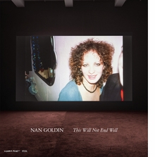 Nan Goldin: This Will Not End Well