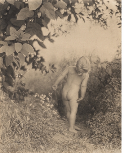 NEW! Edward Weston: The Early Years