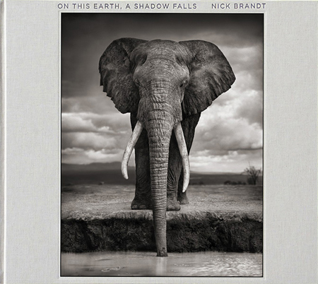 未開封 Nick Brandt A Shadow Falls ニックブラント Nick Brandt On This Earth, A Shadow Falls ARTBOOK | D.A.P. 2014