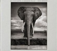 Nick Brandt: On This Earth, A Shadow Falls