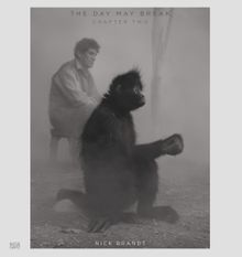 Nick Brandt: The Day May Break, Chapter Two
