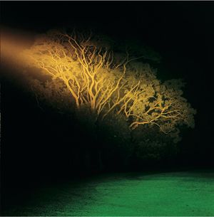 Night Fever: Film and Photography After Dark