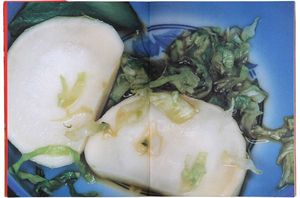 Nobuyoshi Araki: The Banquet
